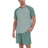 04-green Green Stripe